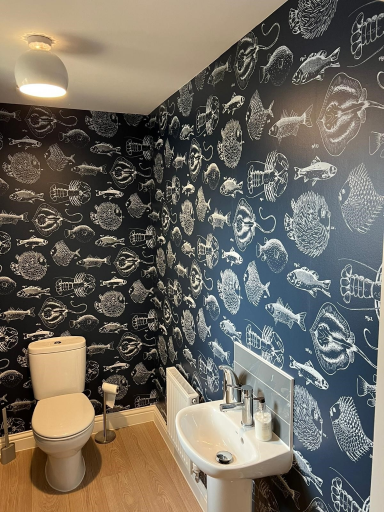 Under The Sea 04 Medium